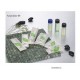 Disposable Products Amenities Supplier of Hotel Accessories Hotel Supplier